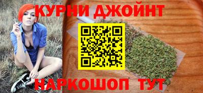 шишки Тверь