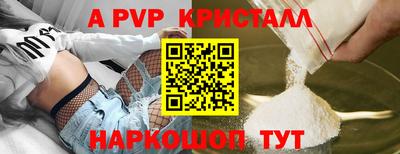 шишки Тверь