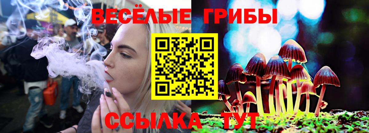 Галлюциногенные грибы ЛСД Новошахтинск